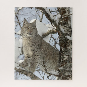 Lynx no Quebra-cabeça de Fotos de inverno