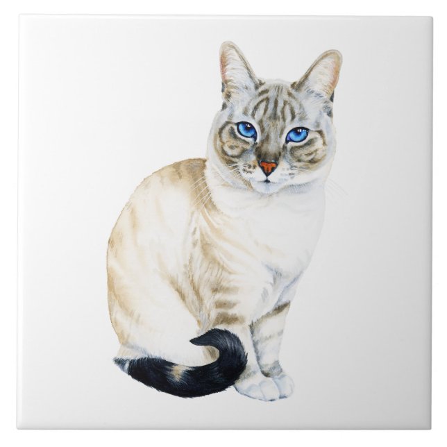 Lynx Point Siamese Cat (Frente)