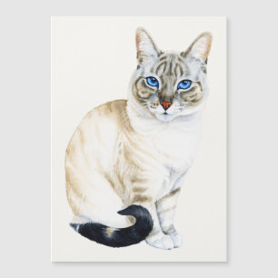 Lynx Point Siamese Cat Magnética Card