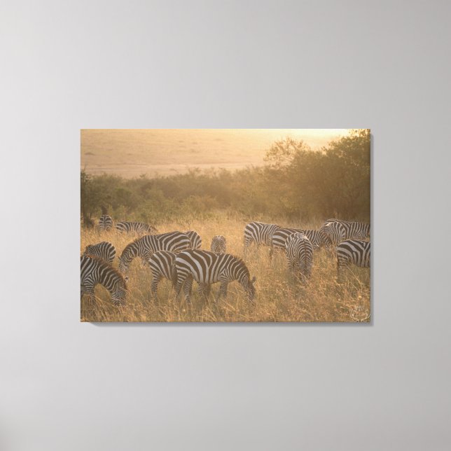 Maasai Morning Zebras Canvas (Frente)