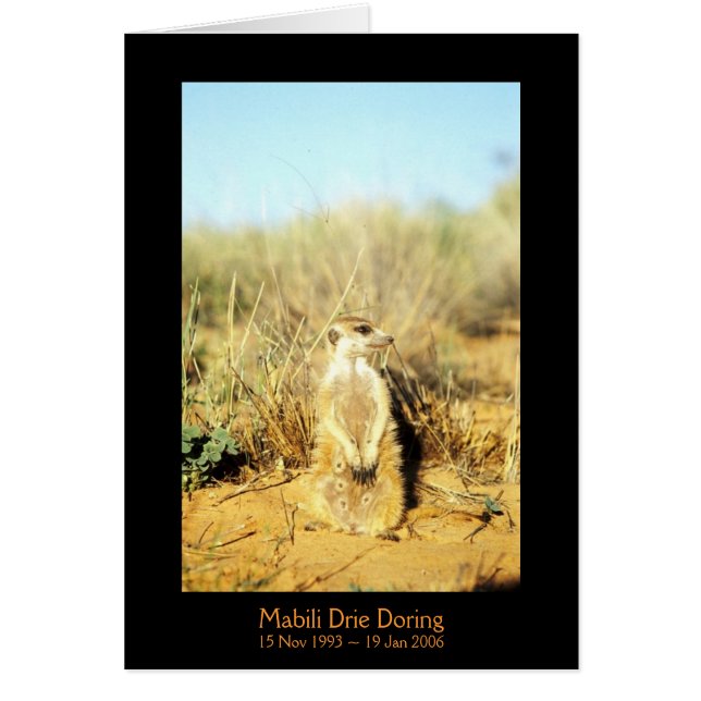 Mabili - cartão das legendas (Frente)