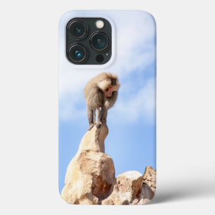 Macaco babuíno no topo de uma montanha