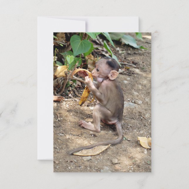 Macaco-Bebê (Frente)