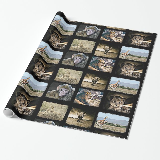 Macaco bonito, leão e papel de embrulho dos (Desenrolado)