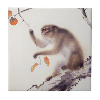 Macaco em uma árvore de caqui