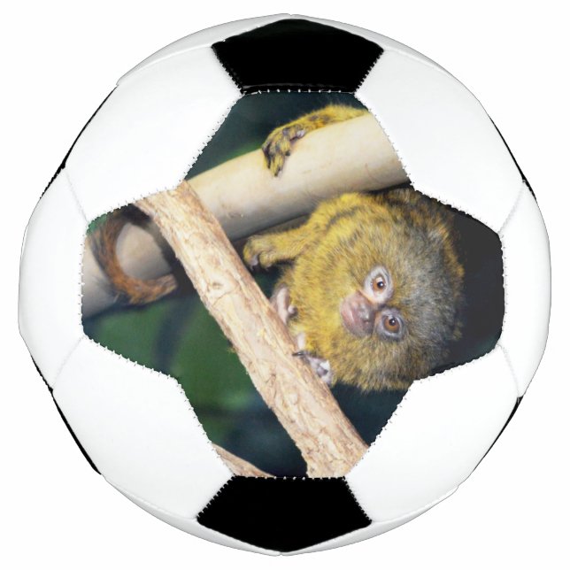 Macaco-Marmoset Oi Lá, Bola De Futebol (Frente)