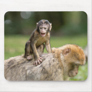 Macaco Mousepad