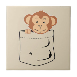 Macaco no bolso