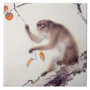 Macaco numa Árvore Persimmon