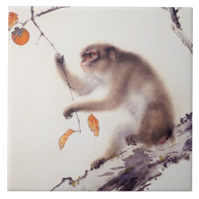 Macaco numa Árvore Persimmon (Frente)