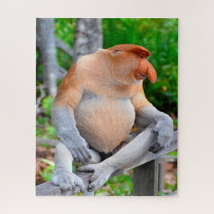 Macaco Proboscis. Quebra-cabeça de serra