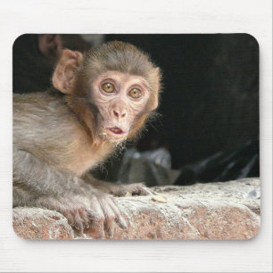 Macaco Scared com mousepad grande dos olhos