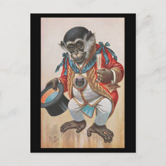 Macaco vestido - cartão postal alemão antigo