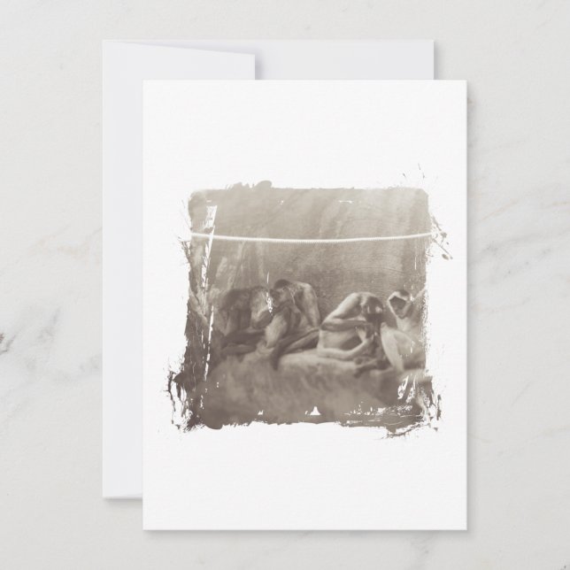 Macacos-Aranha (Frente)