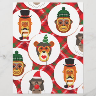 macacos hipsteres de natal