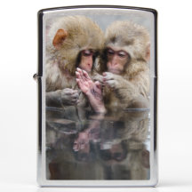 Macacos pequenos | Hot Springs, Japão