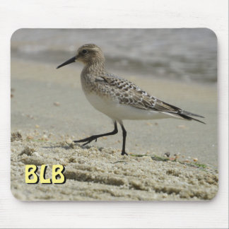 Maçarico na Praia do seu Mouse Pad inicial