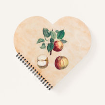 Maçãs Vermelhas Com Folhas