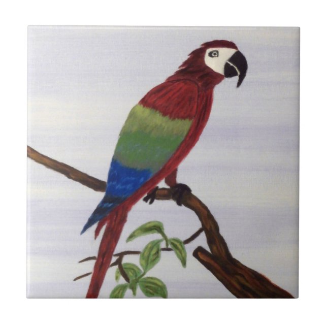 Macaw Parrot (Frente)
