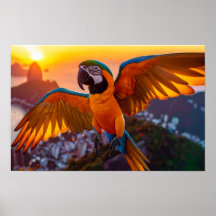 Macaw sobre a poster horizontal do Rio de Janeiro