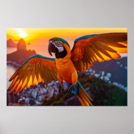 Macaw sobre a poster horizontal do Rio de Janeiro