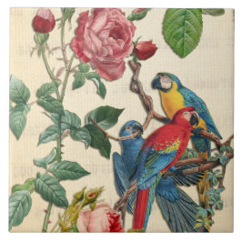 Macaws E Rosas Vintage