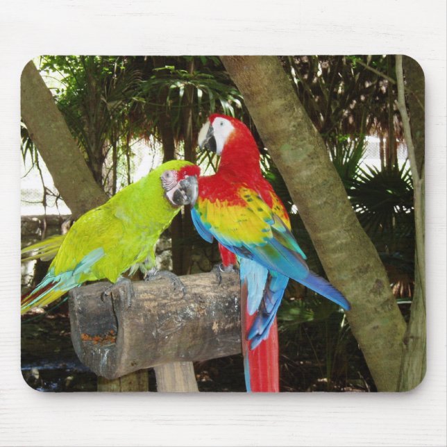Macaws Mousepad (Frente)
