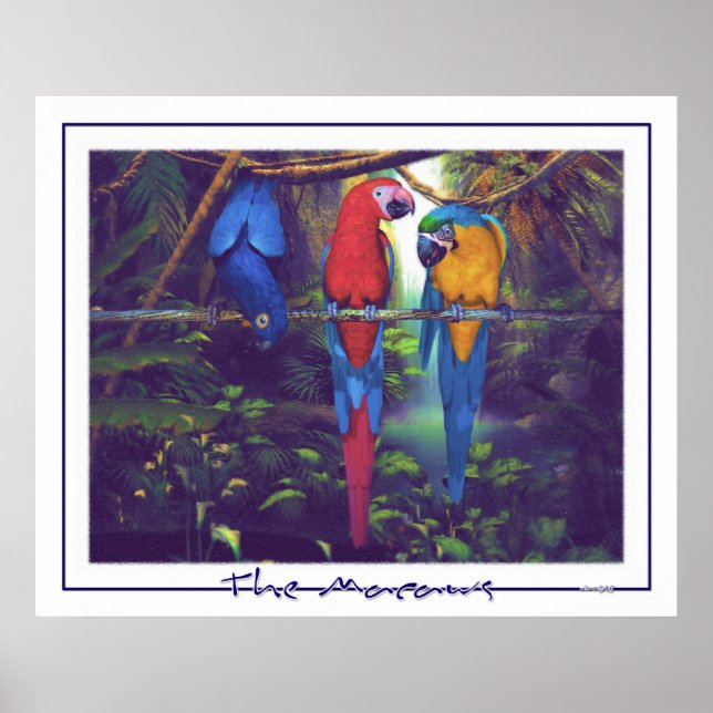 Macaws - Poster (Frente)