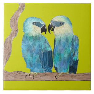 Macaws Spix em um Azulejo cerâmico - (G)