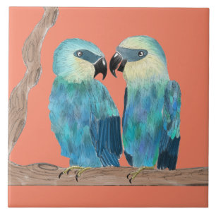 Macaws Spix em um Azulejo cerâmico - (O)