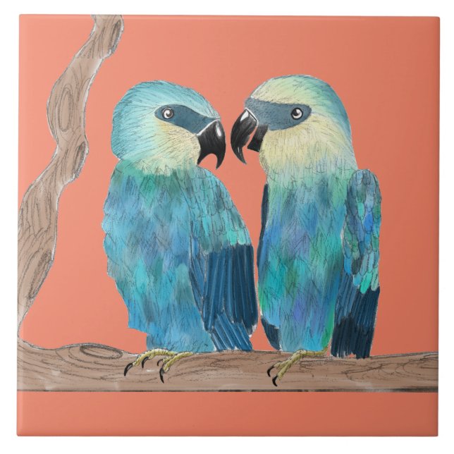 Macaws Spix em um Azulejo cerâmico - (O) (Frente)