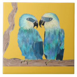 Macaws Spix em um Azulejo cerâmico - (Y)