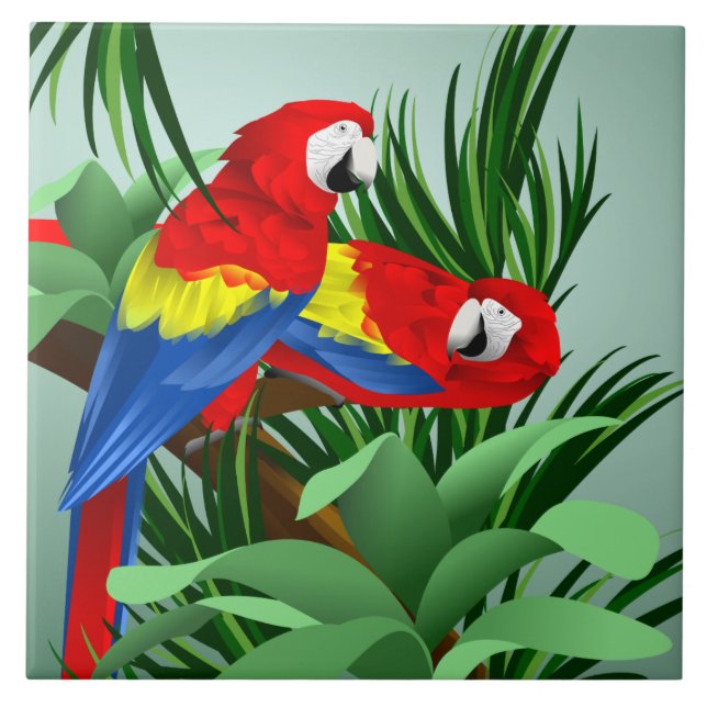 Macaws Vermelho (Frente)
