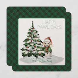 MacLean Caçando o Antigo Tartan Feliz Dias de Vida