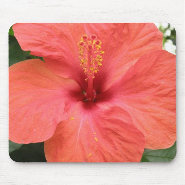 Macro Mousepad da Flor de Laranja Hibiscus (Frente)