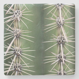 Macro Saguaro Cactus,Arizona, porta copos de pedra