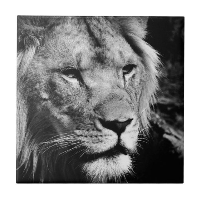 macro-vestimenta macho africa (Frente)