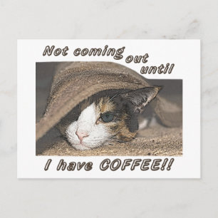 Macy Quer Café Para Postar Cartão