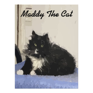 Maddy A Foto Do Poster Cat