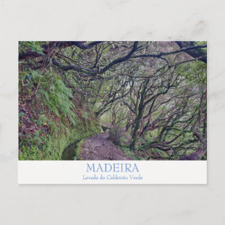 Madeira - Cartão postal Caldeirao Verde com texto