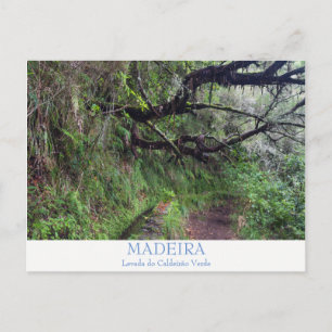 Madeira - Cartão postal Caldeirao Verde com texto