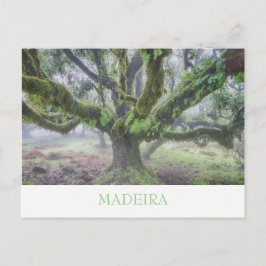 Madeira - Cartão postal da árvore Laurel com texto
