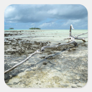 Madeira inoperante na etiqueta pacífica