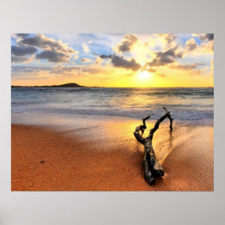 Madeira na Poster da praia