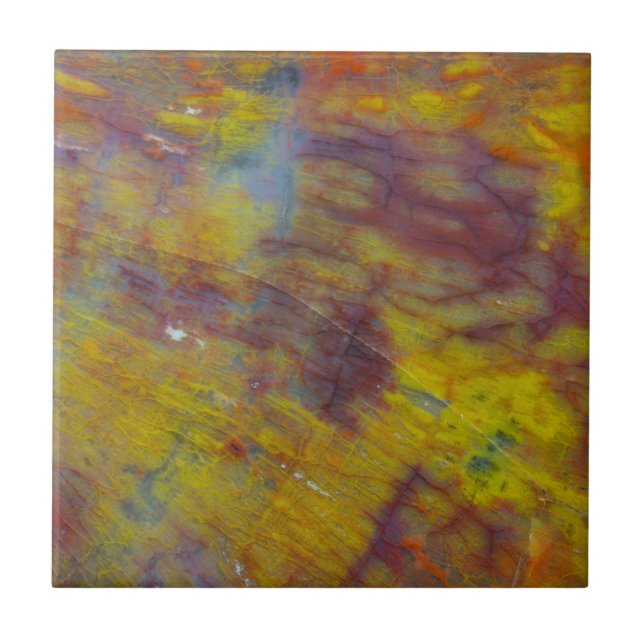 Madeira Petrificada (Frente)