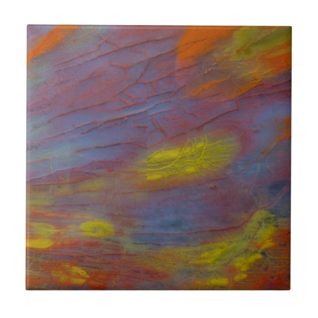 Madeira Petrificada Close-Up (Frente)