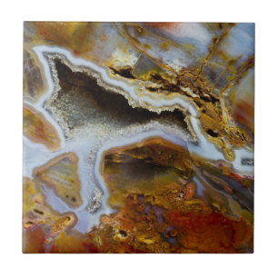 Madeira Petrificada com cristais