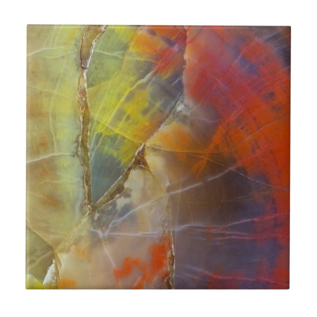 Madeira Petrificada Do Arco-Íris Colorida (Frente)