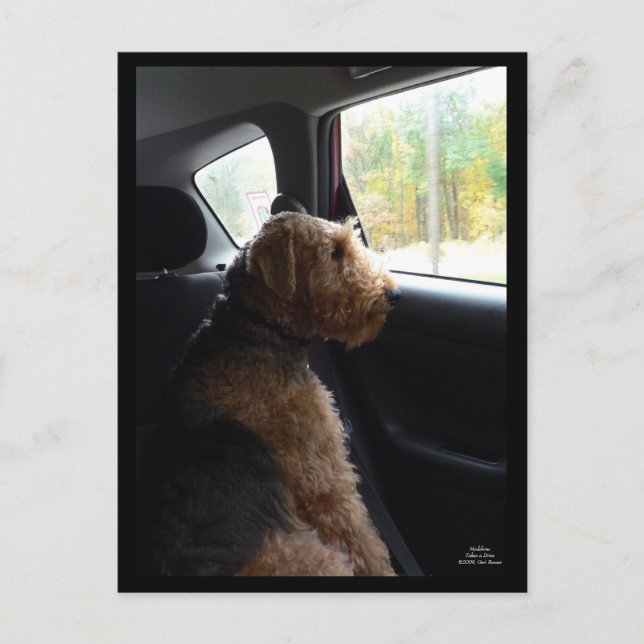 Madeleine leva um cartão postal da unidade (Frente)