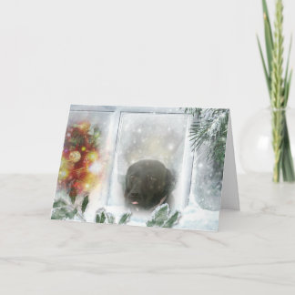 Madison, o cartão de Natal Black Labrador